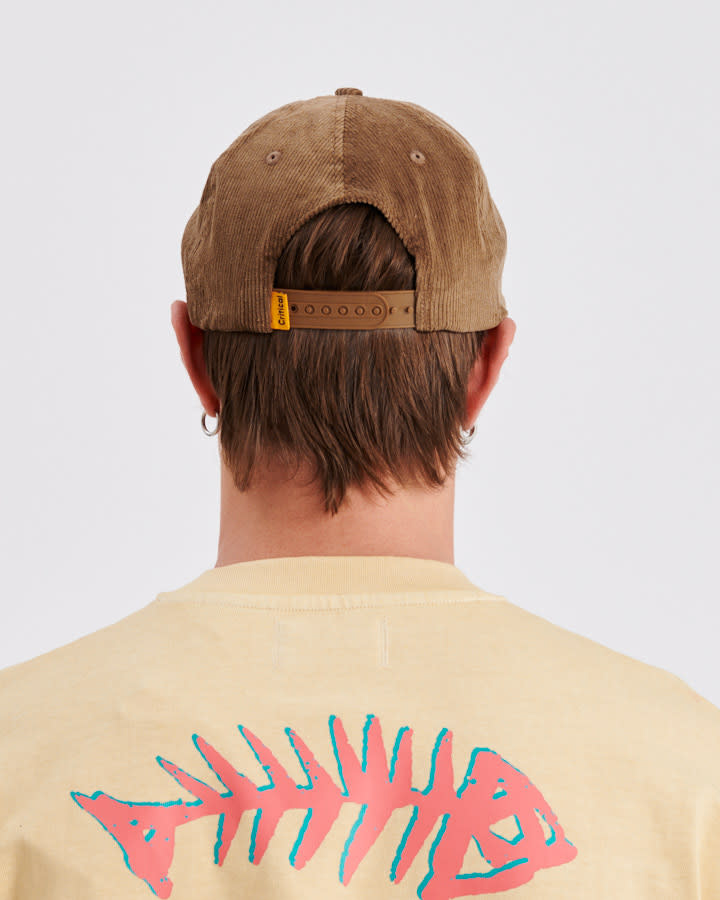 Sunshine Trucker - Taupe