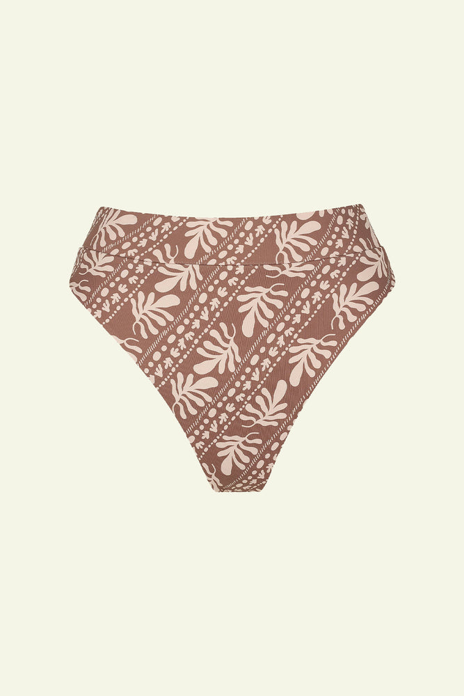 Maya High Brief - Coral